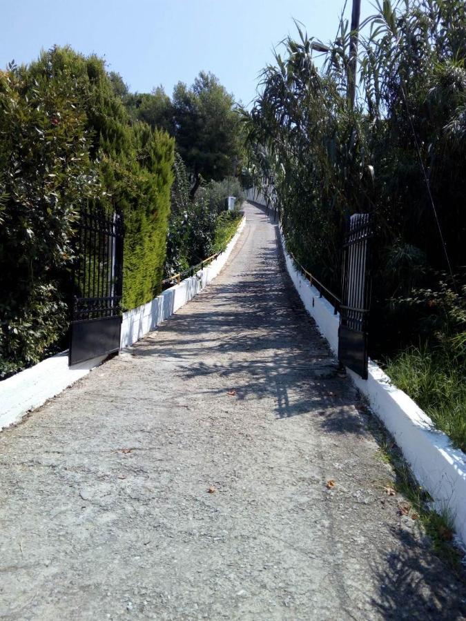 Villa Xanthippi أغيا باراسكيفي المظهر الخارجي الصورة