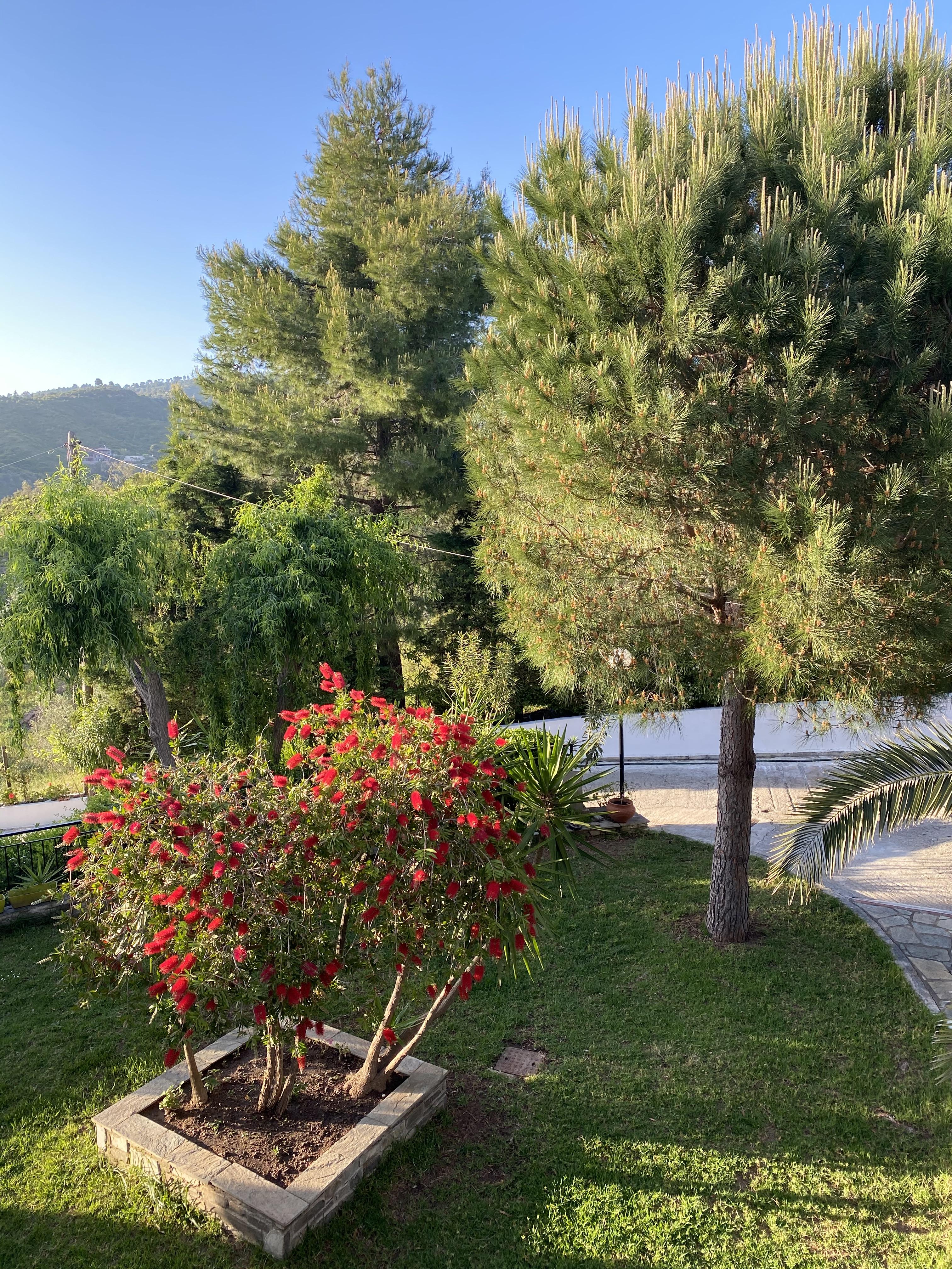 Villa Xanthippi أغيا باراسكيفي المظهر الخارجي الصورة